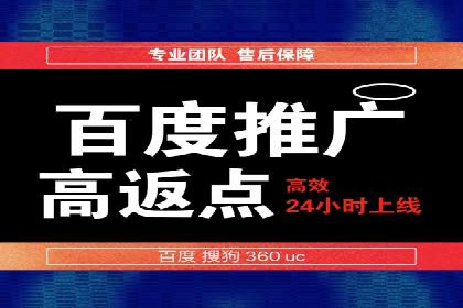 案例分析：SEM广告助力电商行业突破